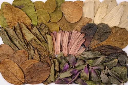 Kiln dried leaf litter bio - kiln,