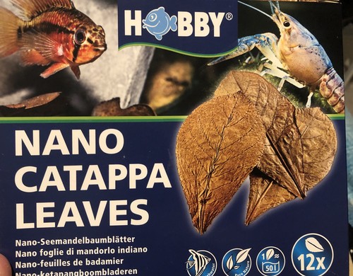 Hobby catappa leaves - hobby,