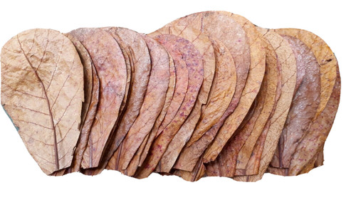 30pcs 1000pcs almond leaves - -,