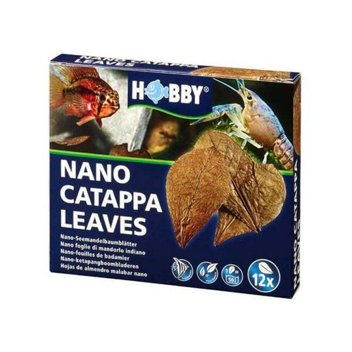 Hobby catappa leaves - hobby, (x12)