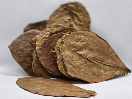 Almond nano leaves per - nano,