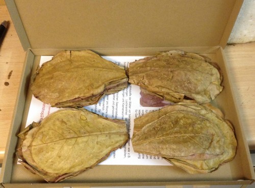 100 gram 6 - 100, (~100