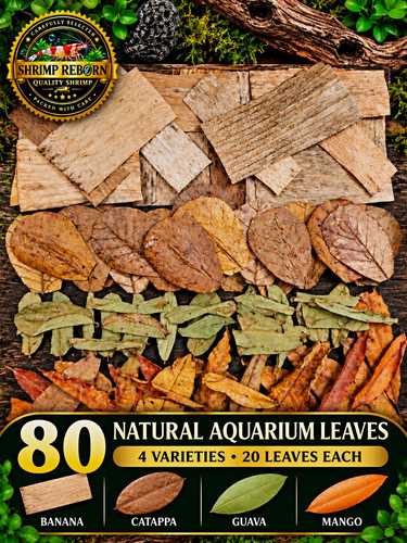 Natural aquarium leaves - 80, –