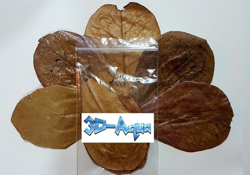 Premium mixed sundried indian - premium,