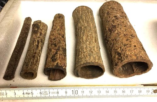 Sea almond bark tube 6cm - bark, Ø