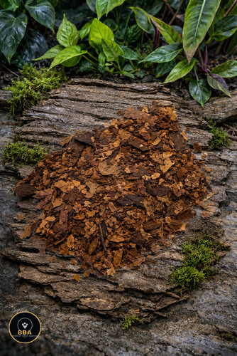 Crushed catappa leaves for - leaves,