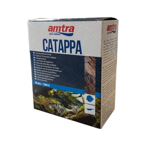 Amtra catappa leaves - catappa,