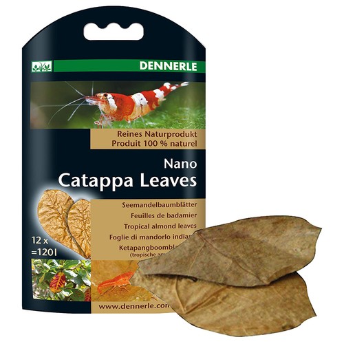 Dennerle nano catappa leaves - catappa,