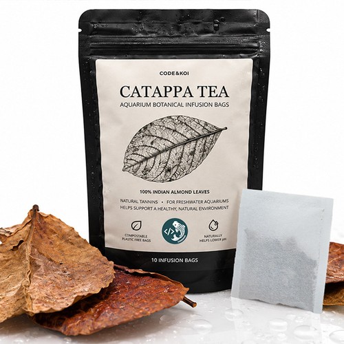 Indian almond catappa leaves - almond,