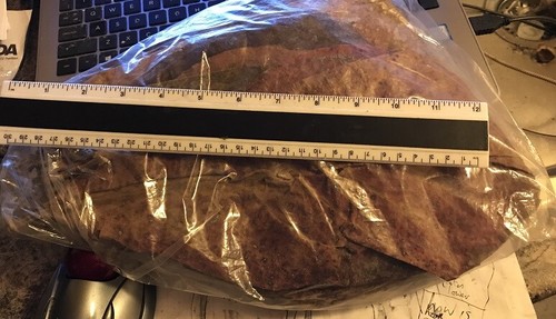 Catappa indian almond - xl,