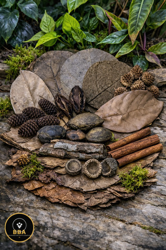 Blackwater botanical box - blackwater,