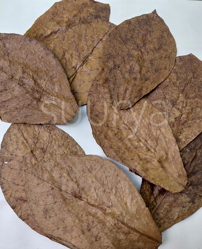 100pcs large indian almond - large,